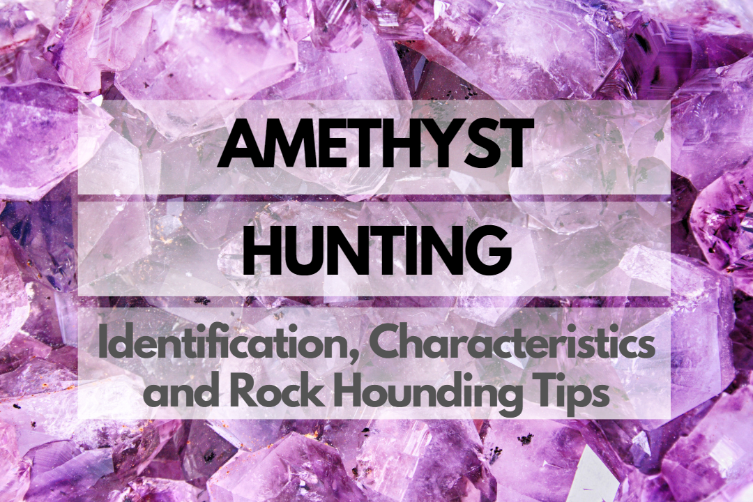 Amethyst Rock Hounding