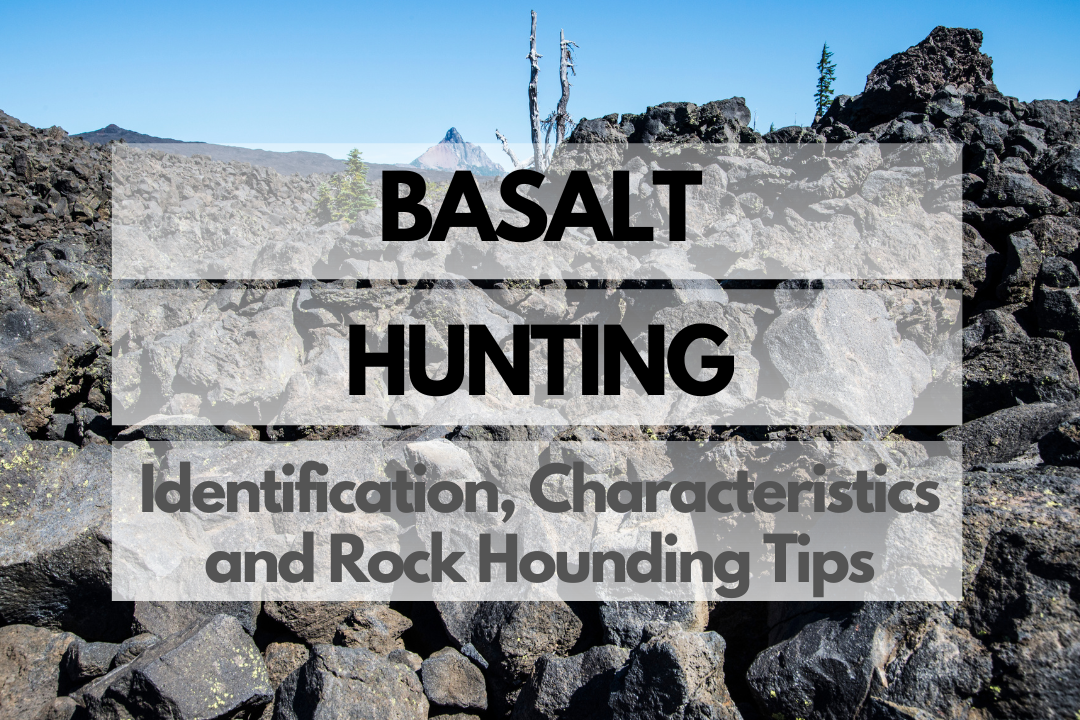 Basalt Rock Hounding
