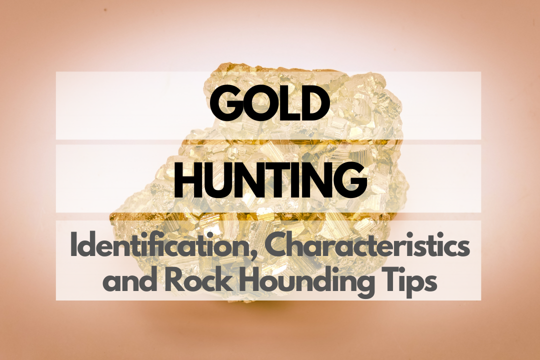 Gold Rock Hounding