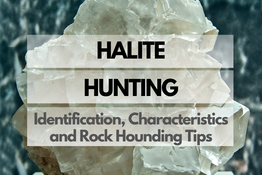 Halite Rock Hounding