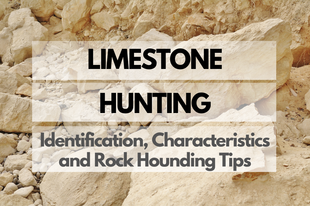 Limestone Rock Hounding