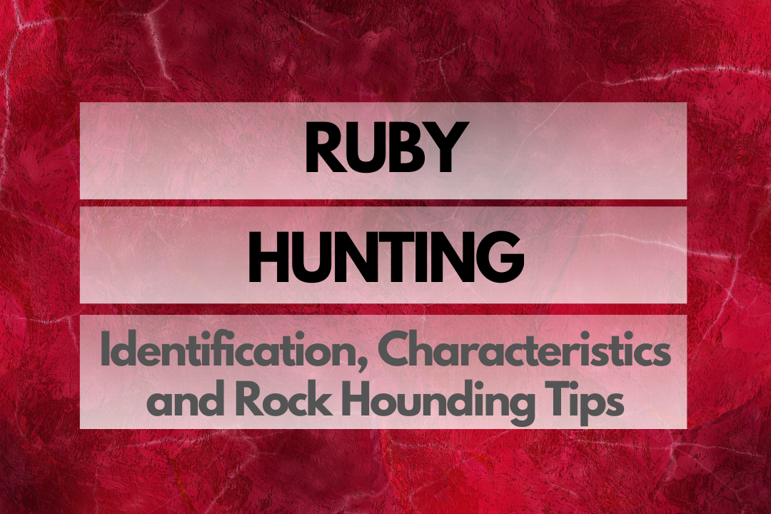 Ruby Rock Hounding